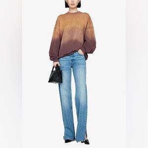 Anine Bing Ombré Sweatshirt with Bronze/Gold Print Rare.